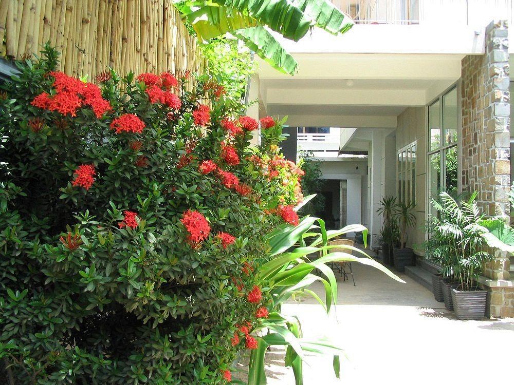 Frangipani Villa-60S Phnom Penh Dış mekan fotoğraf
